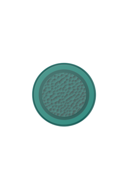 PopSockets PopGrip MagSafe Hammered Fresh Pine